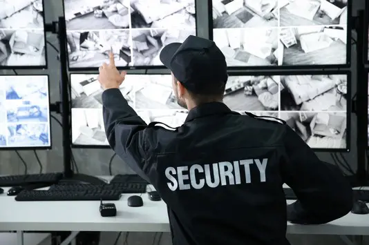 A security guard is pointing to the screen.